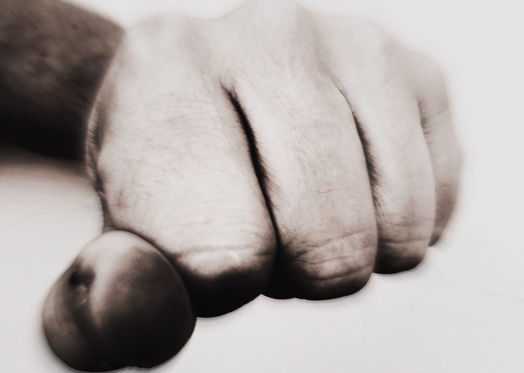 „Ich bin Kampfsportler!“ Randalierender Schwarzfahrer fordert  Polizei zum Kampf heraus