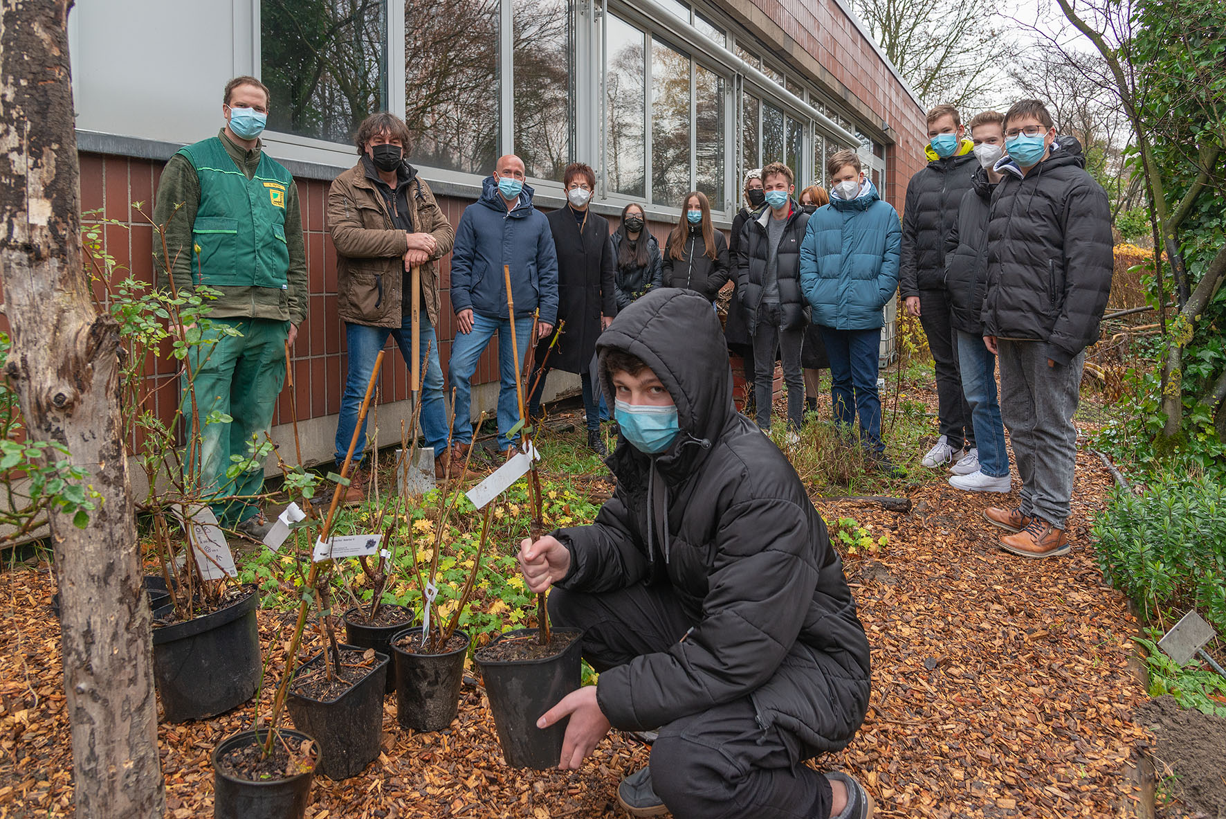 Beeren, Trauben, saftig und süß: UKBS spendet Sträucher für Kamener Gesamtschule – Schulgarten-AG pflanzt sie ein