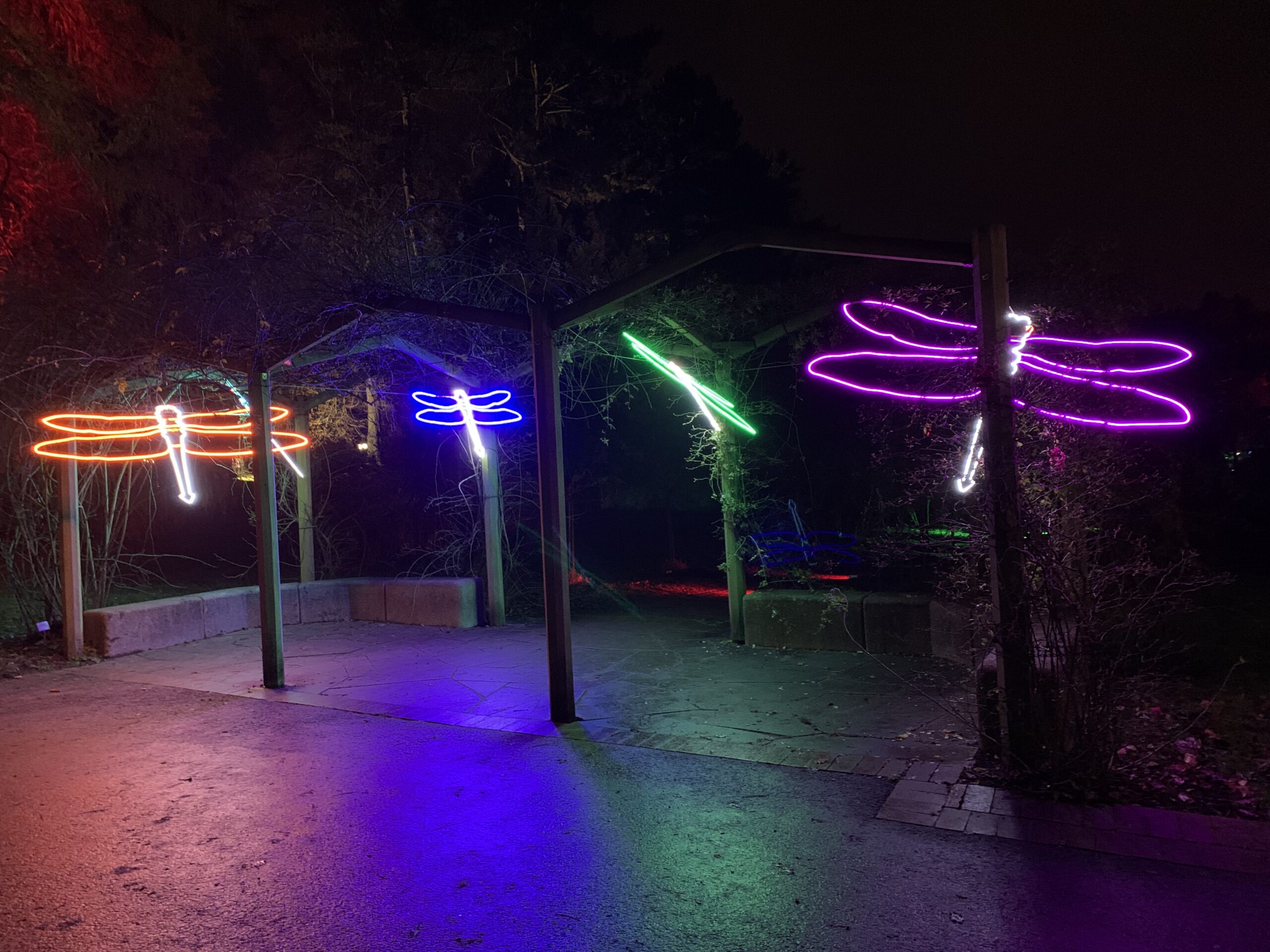 Wegen großer Nachfrage: Westfalenpark leuchtet eine Woche länger