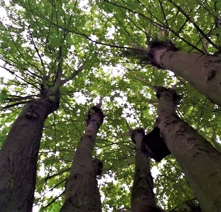 Gemeinsam für Artenvielfalt – 40 Unternehmen in Westfalen gründen Bündnis für Biodiversität Gemeinsam für Artenvielfalt – 40 Unternehmen in Westfalen gründen Bündnis für Biodiversität