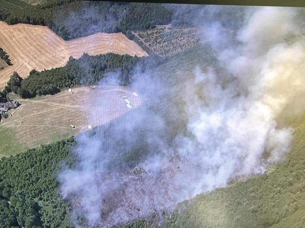 Abschlussbericht zum Waldbrand Sundern – Fläche von 4 Fußballfeldern brannte