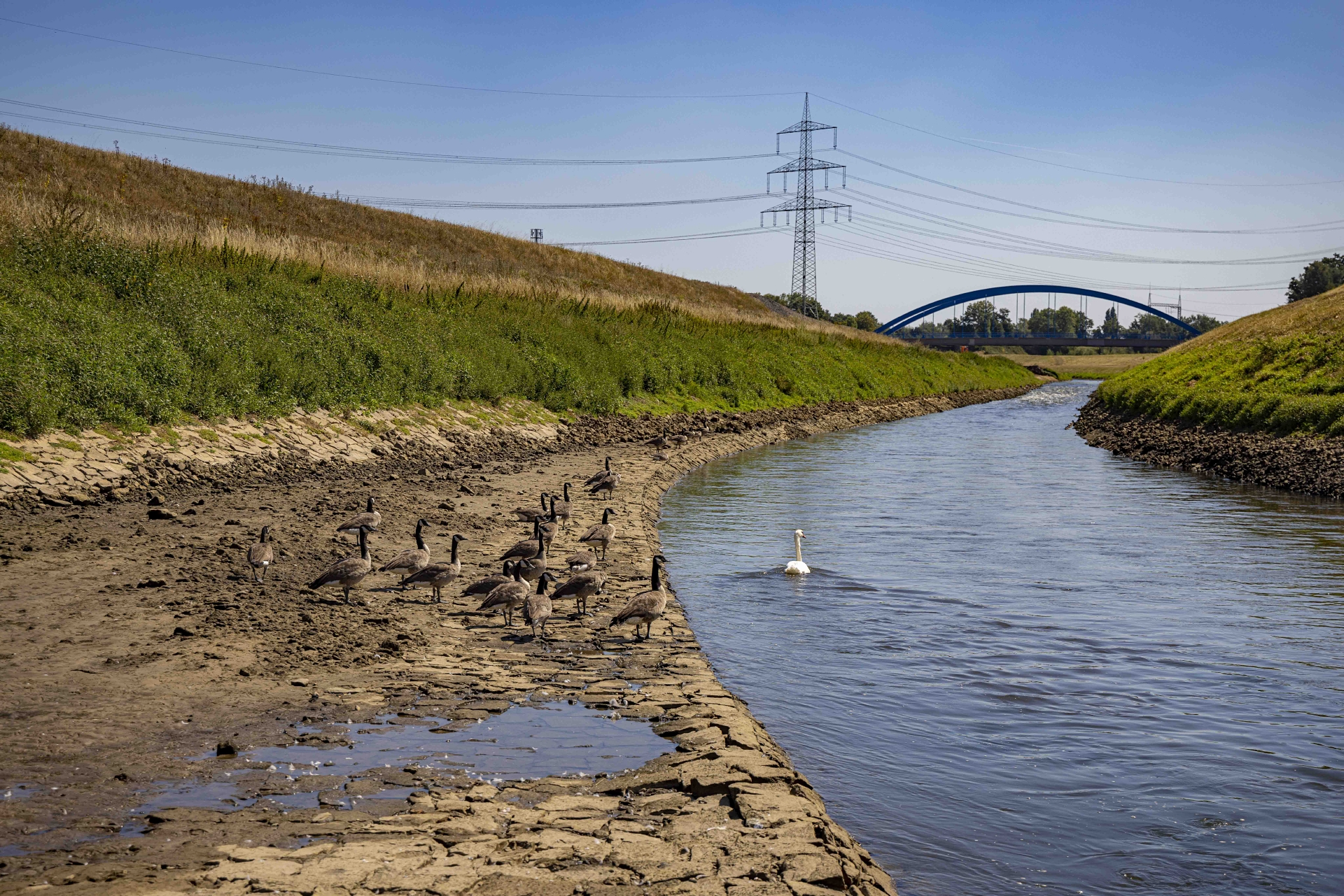 Trockenster Sommer in Emscher-Lippe-Region seit 1931 – Doch „leichte Entwarnung“ für beide großen Flüsse