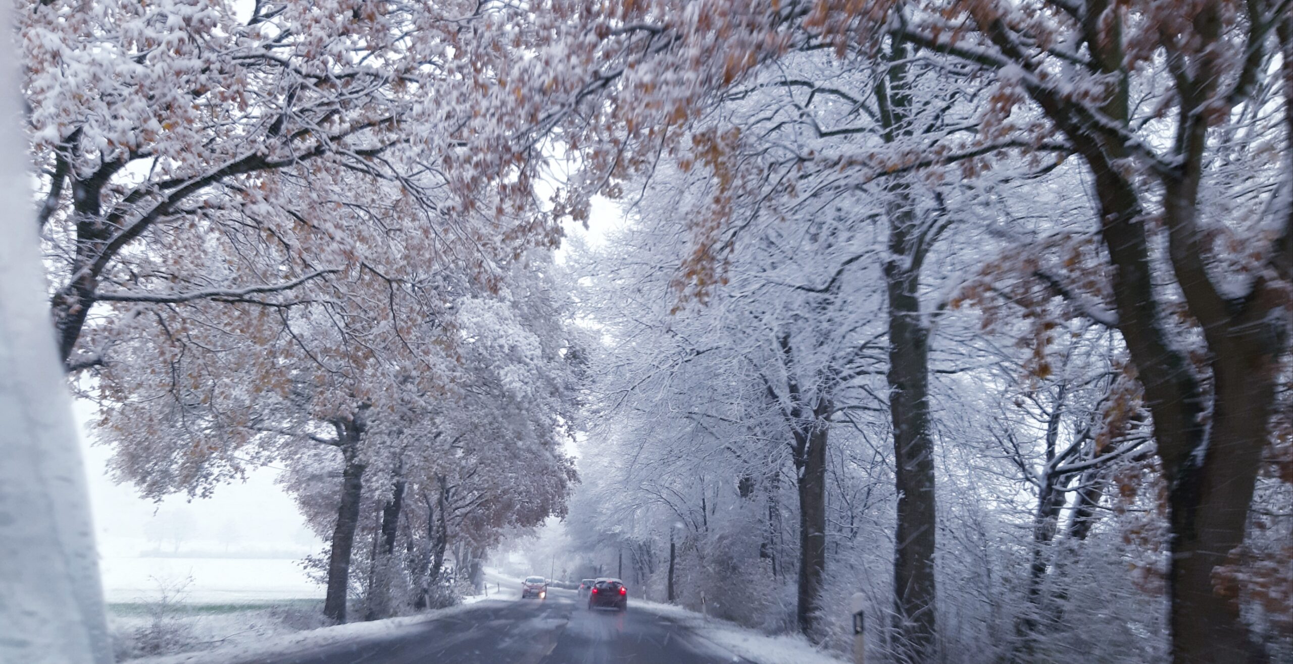 Weißer Wintereinbruch gleich nach dem 2. Advent – Vorsicht: Matsch macht Straßen und Gehwege glatt wie Schmierseife