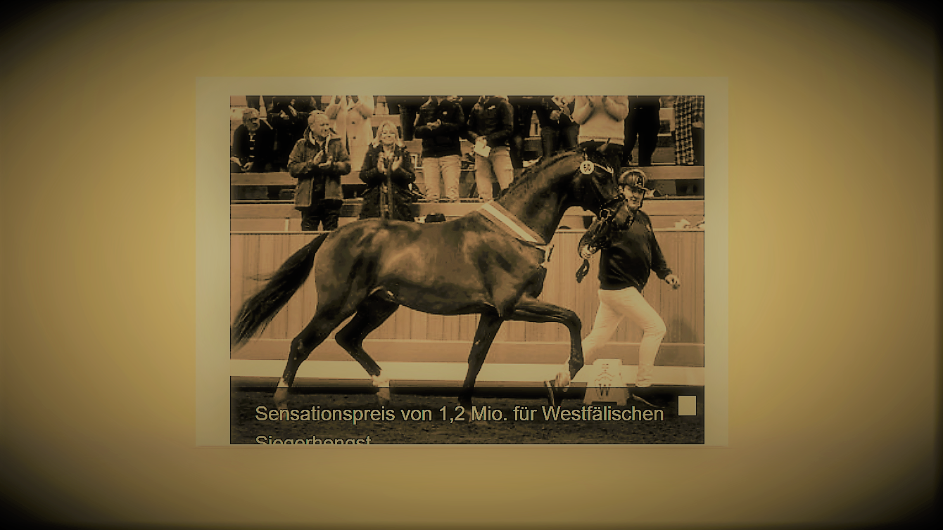 Das 1,2-Millionen-Pferd: Sensationspreis für Westfälischen Siegerhengst aus Hamm