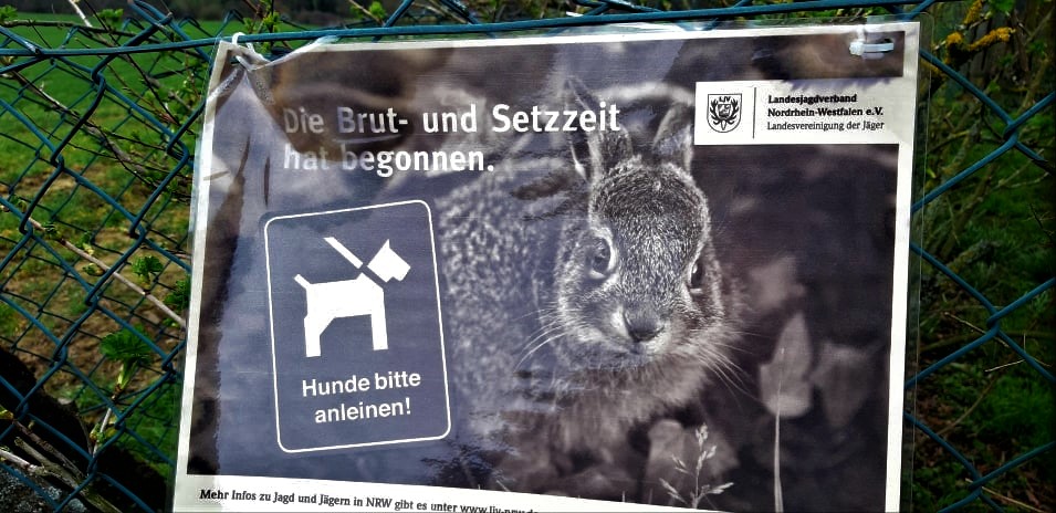 Brut- und Setzzeit: CDU Fröndenberg beantragt Hinweisschilder an möglichst vielen Wander-, Wiesen-, Waldwegen