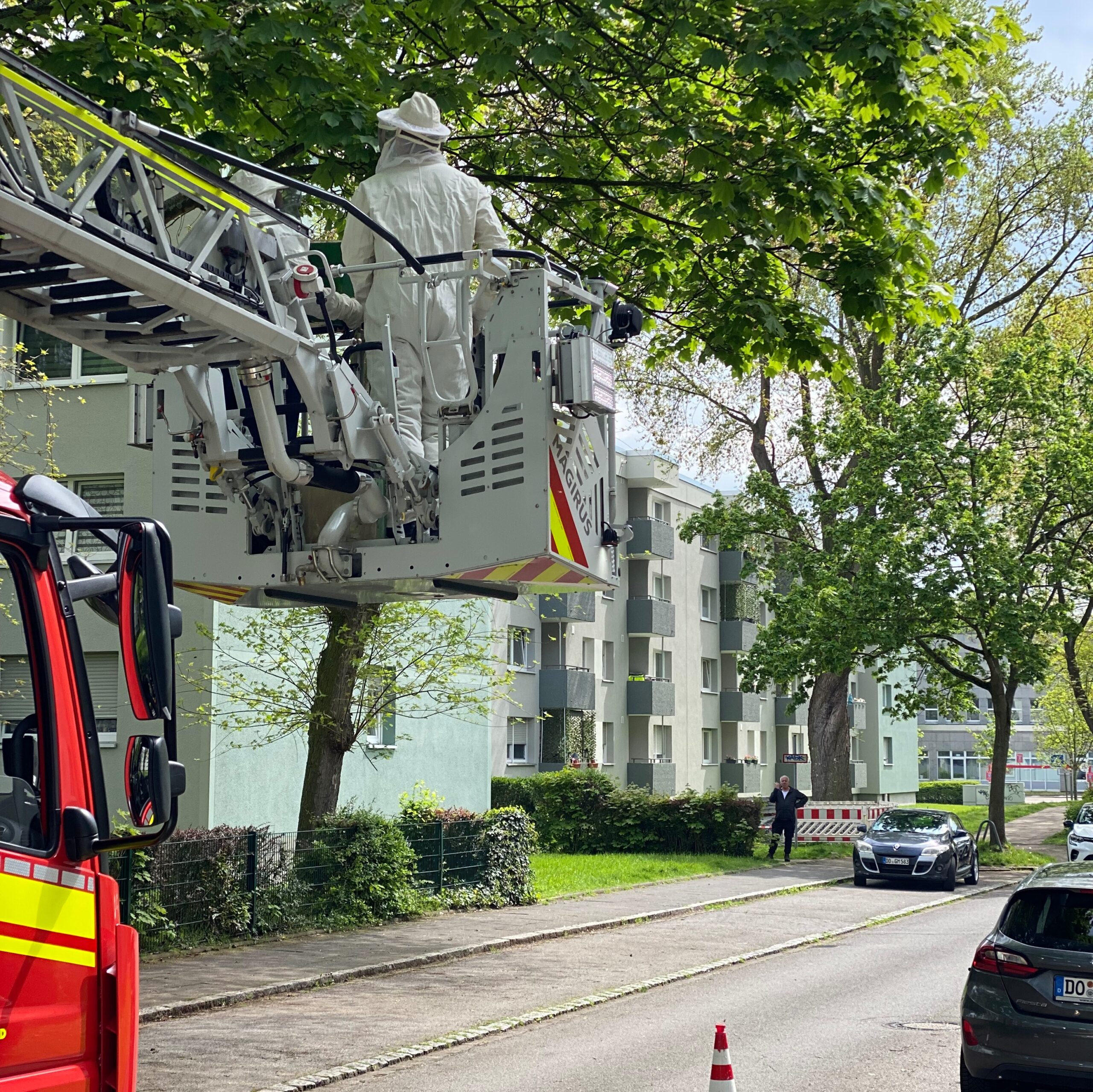 Bienenschwarm auf der Straße ruft Feuerwehr auf den Plan