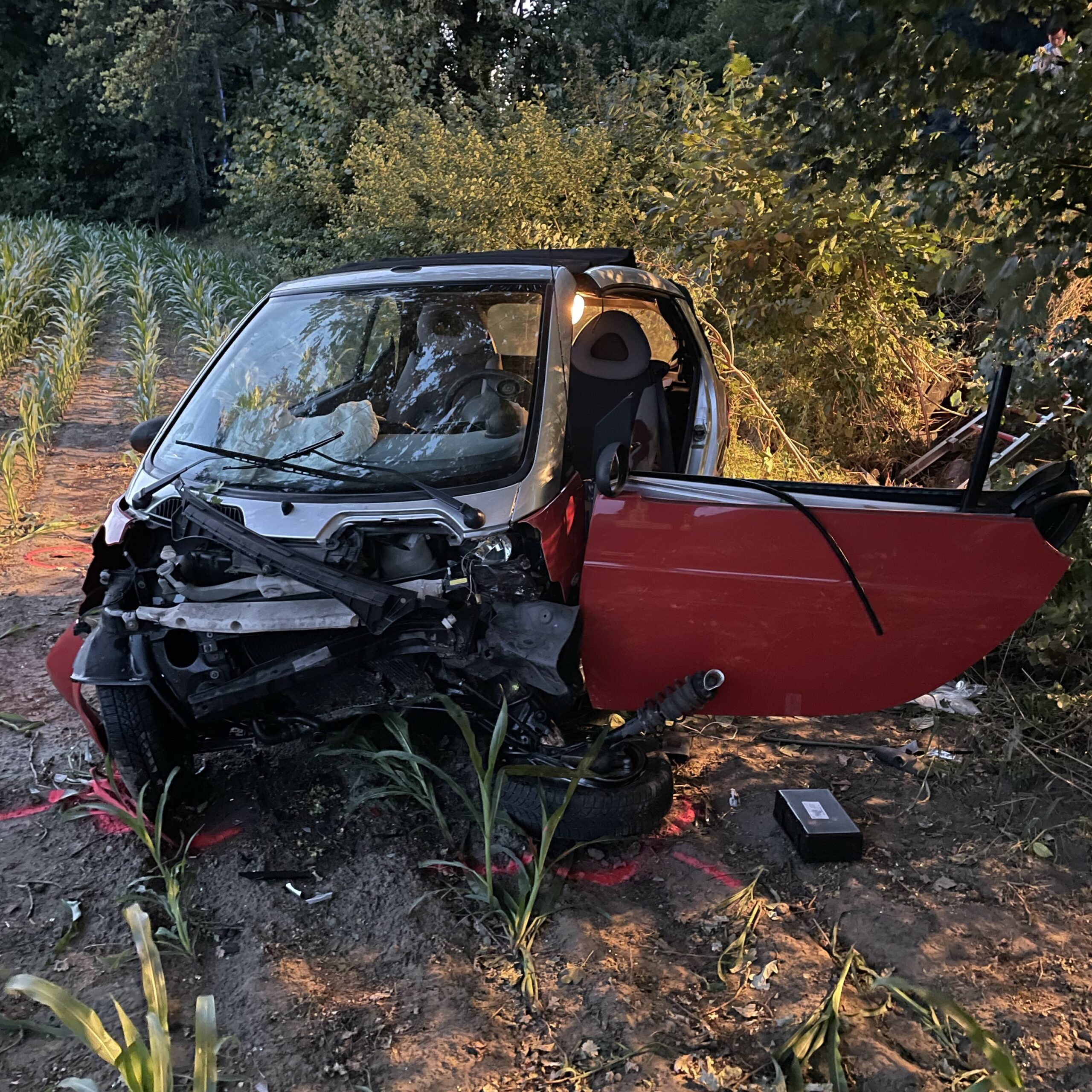 5 Meter tiefe Böschung hinuntergefallen – Kleinwagenfahrer bei Unfall in DO-Süd schwer verletzt
