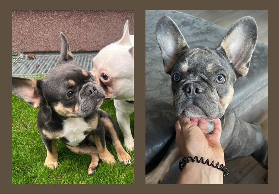 Wo ist Walter?! – Walter aus Bönen war in Polen