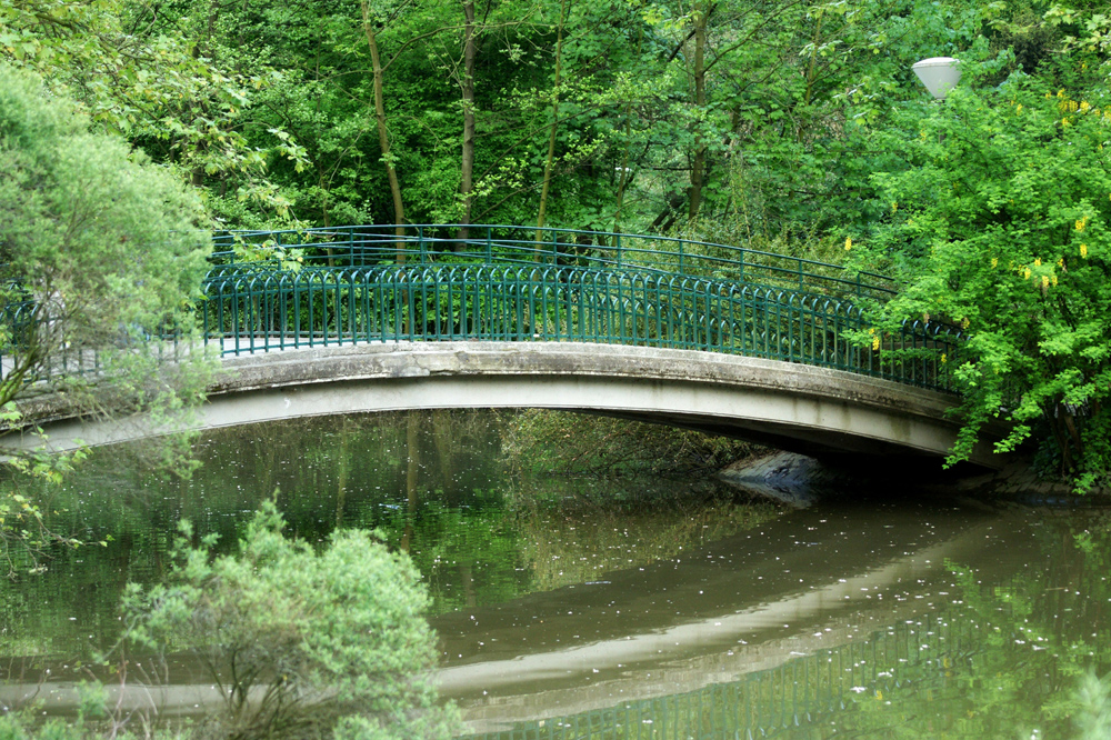 Wer länger als 3 Stunden steht: Parken am Dortmunder Rombergpark kostet jetzt Geld