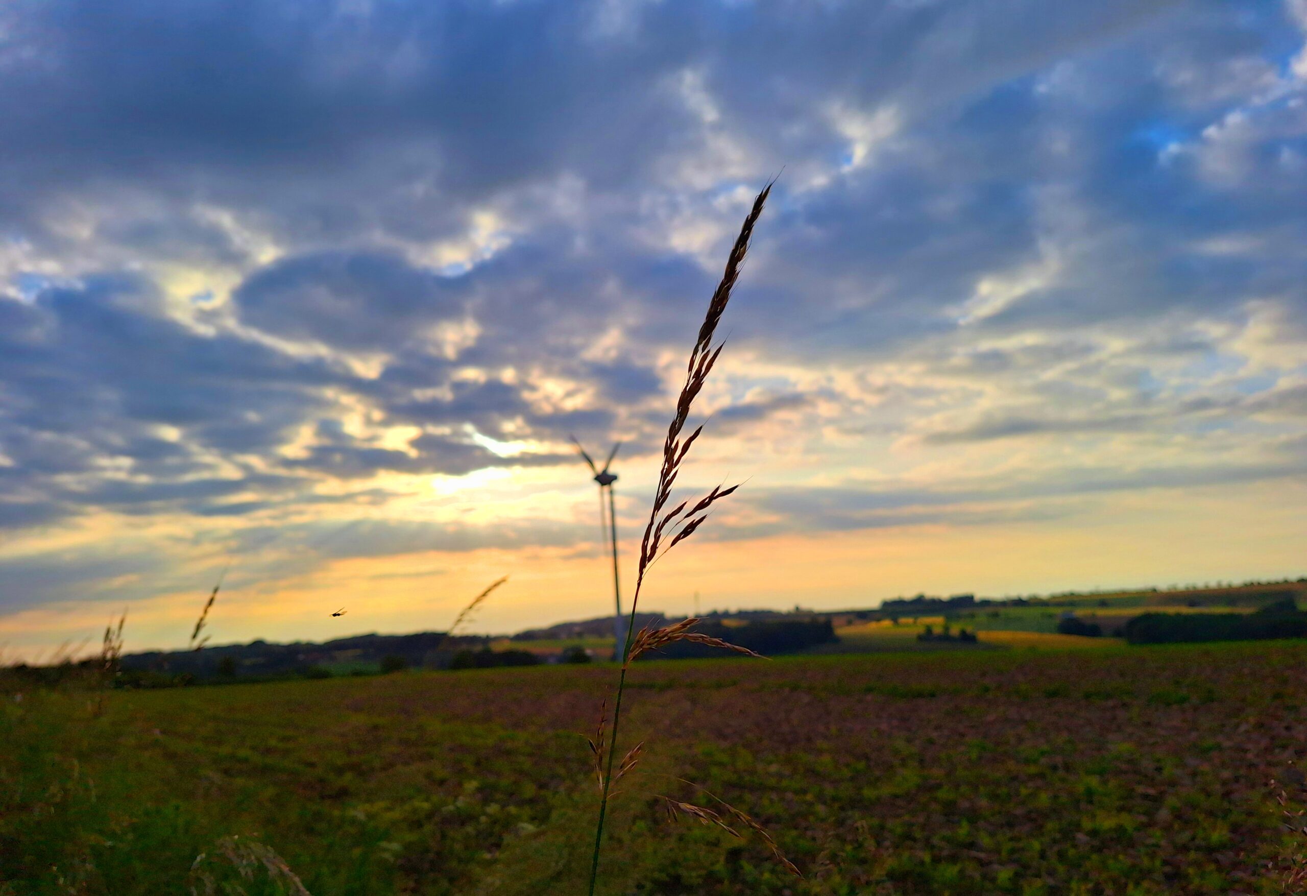 Meteorologen überrascht: „Juni wird immer blauer, er ist quasi besoffen“