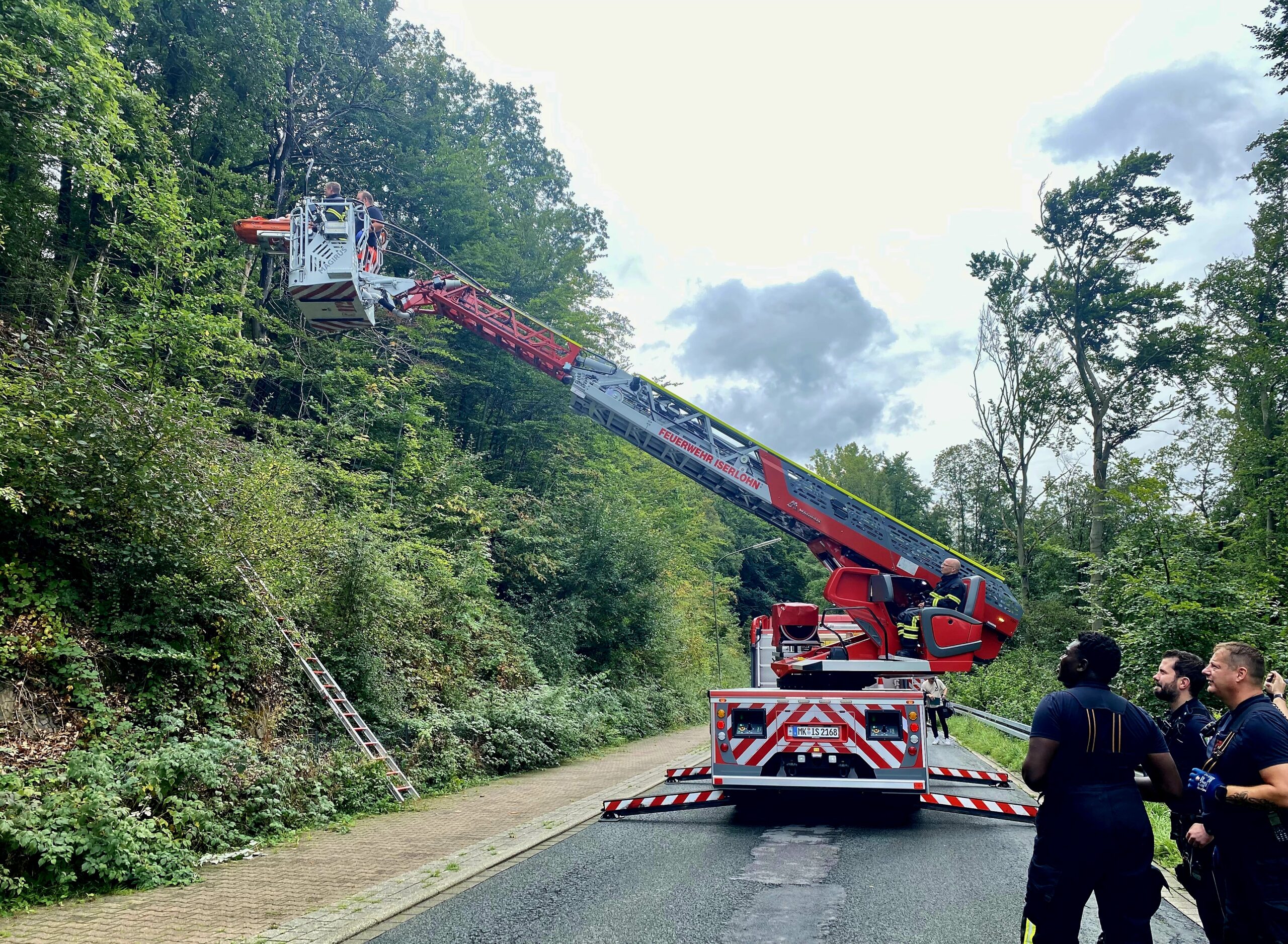 Frau stürzt bei Wanderung im Wald – Rettung unter erschwerten Bedingungen