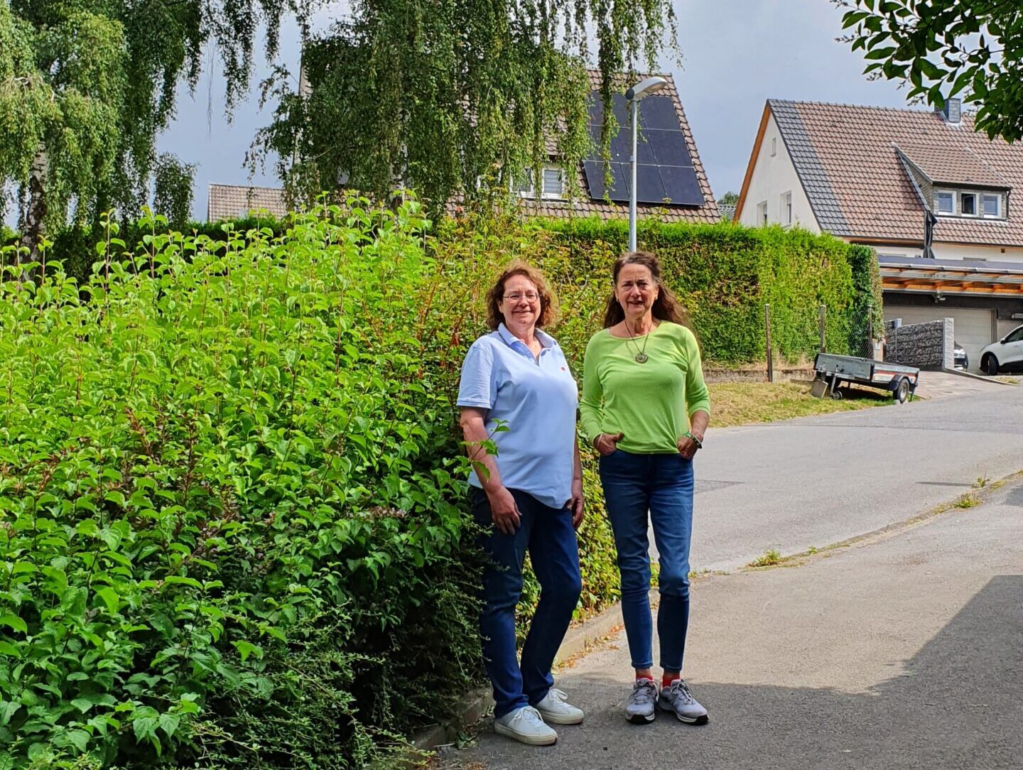 Über 1,50 m hohes Gewächs versperrt Blick in Fröndenberger Kreuzung – Zugleich mahnt Stadt Eigentümer an Rückschnittpflichten