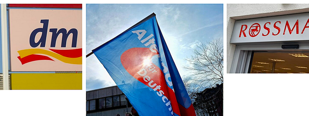 „Keine Reise ins Blaue“? Heftige Debatte um Verband der Familienunternehmen und seine Annäherung an AfD