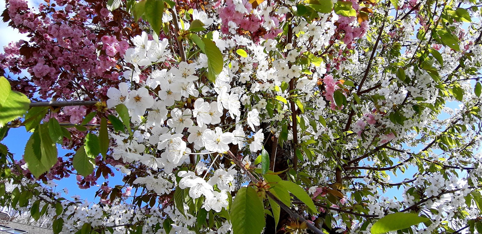 Kreis Soest: Junges Paar gibt sich Frühlingsgefühlen hin – Zeugen rufen die Polizei Kreis Soest: Junges Paar gibt sich Frühlingsgefühlen hin – Zeugen rufen die Polizei