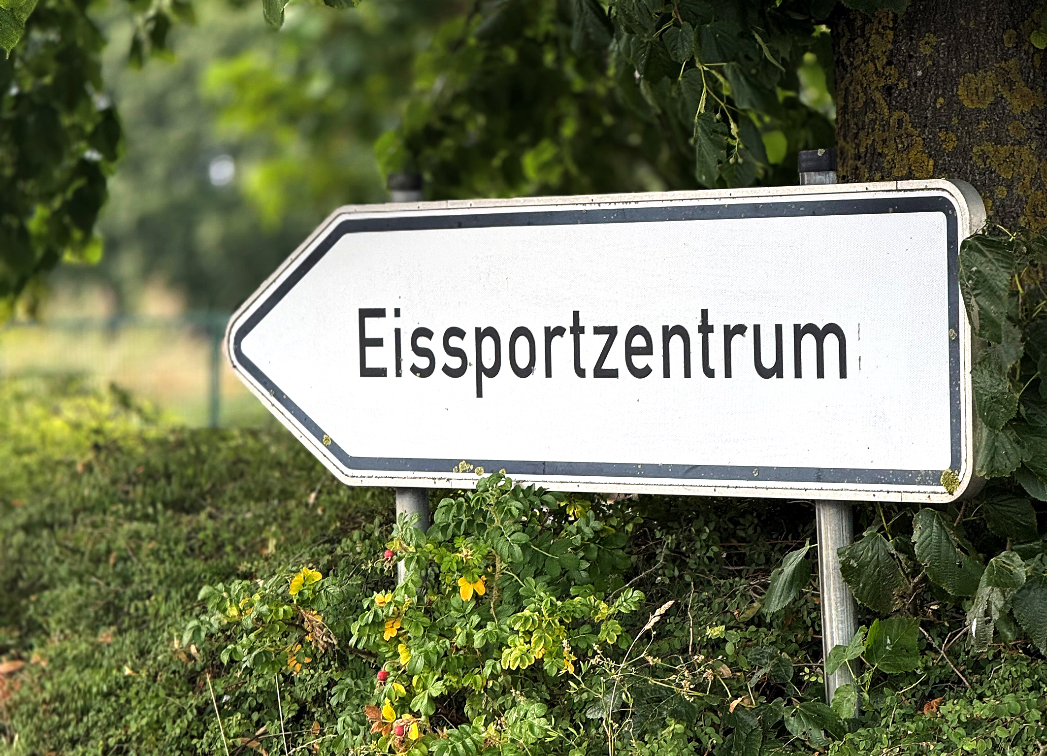 250.000 € Zuschuss jährlich, 12-15 Mio. Sanierungsbedarf: Eissportzentrum Möhnesee vor dem Aus?
