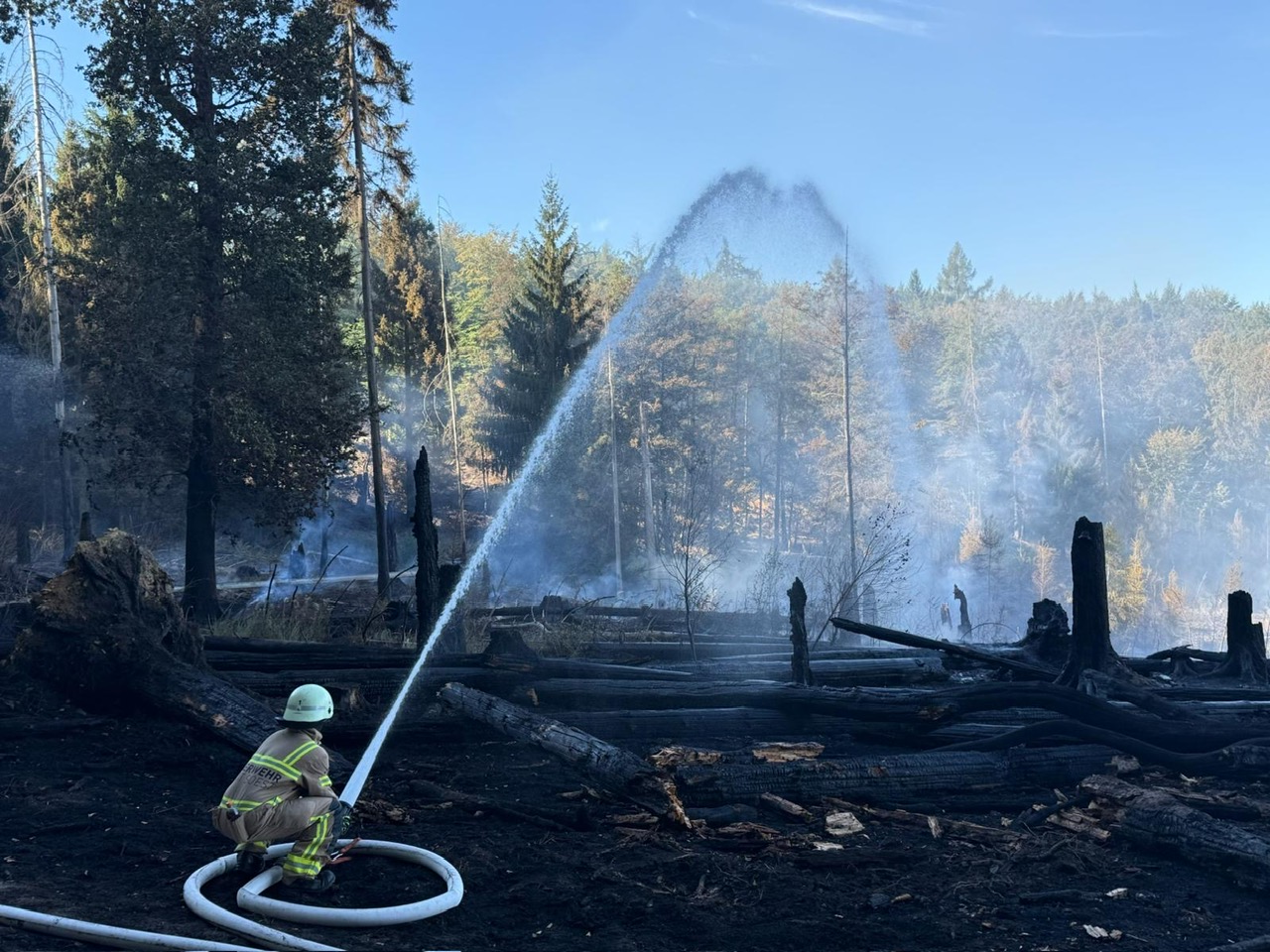 Großräumiger Waldbrand am Möhnesee – Hunderte Feuerwehrleute bekämpfen Feuer die ganze Nacht