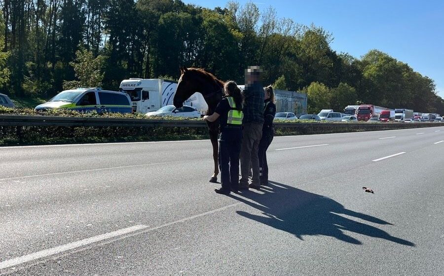 Im Geistergalopp über die A2 – Lkw-Fahrer stellt kurzerhand seinen Lastwagen quer